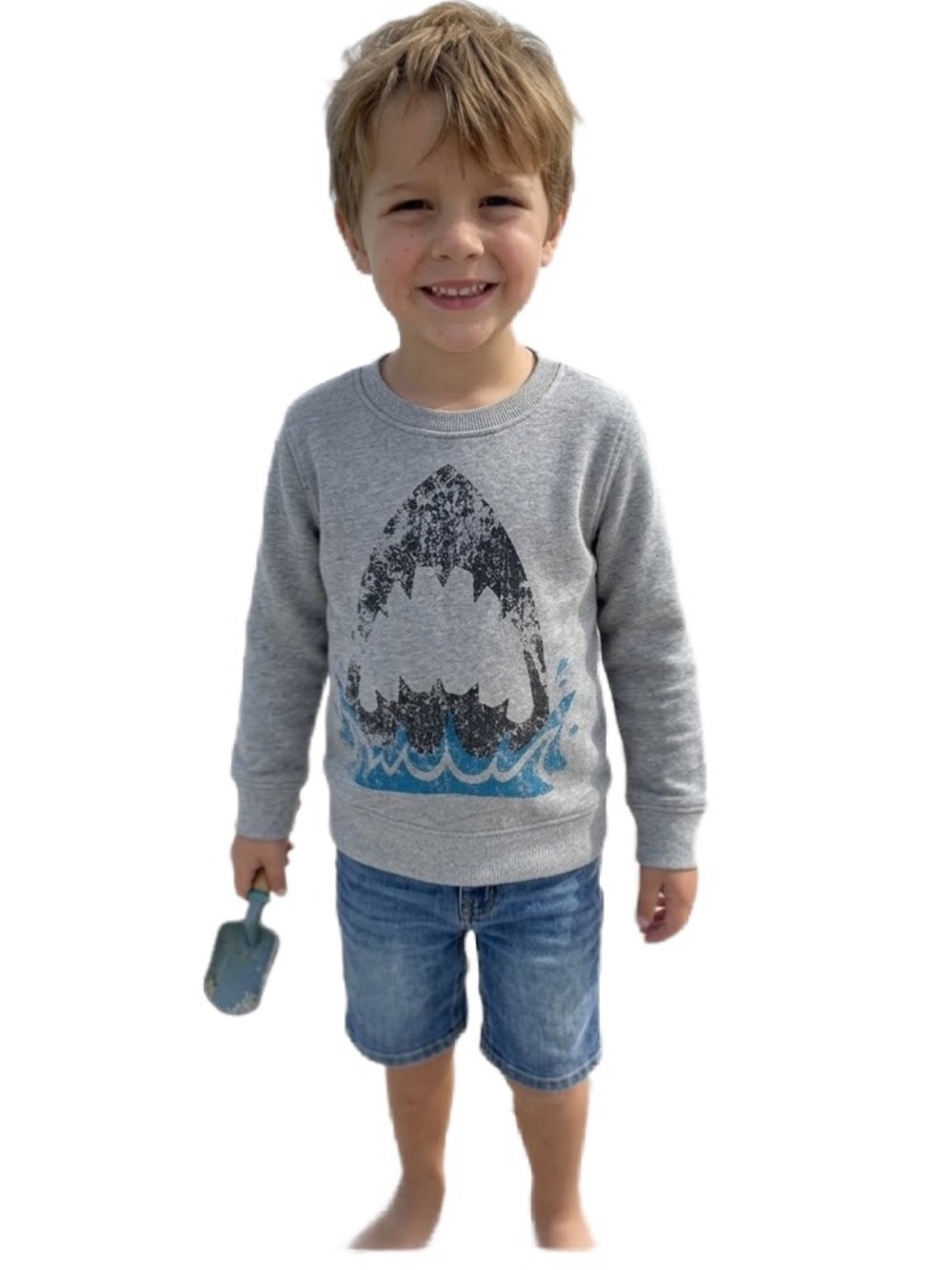 Appaman Gray Distressed Shark Print Sweatshirt Size 6